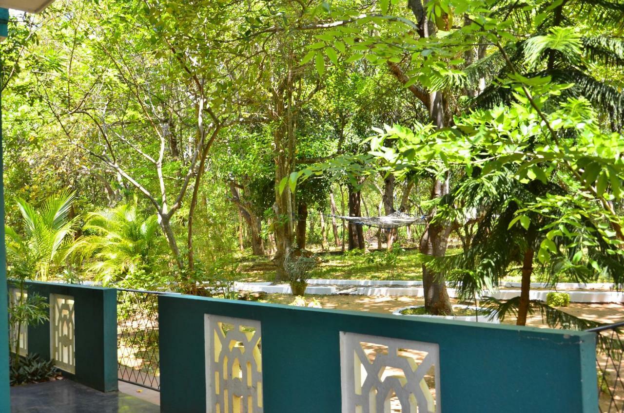 Hotel The Lion Rock Sigiriya Exterior foto